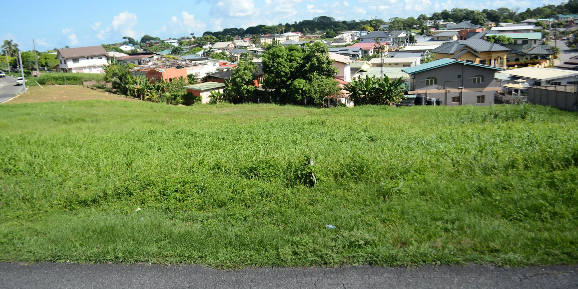 Palmiste Land Cover Photo