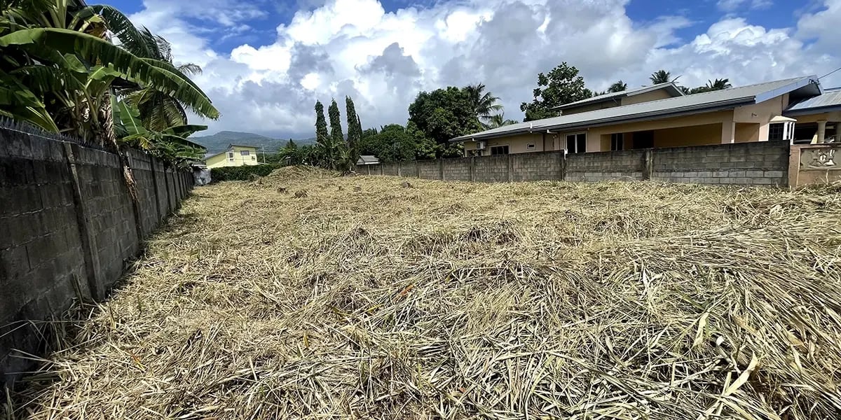 Serbian Avenue, Pine Haven Development, La Resource South, DAbadie