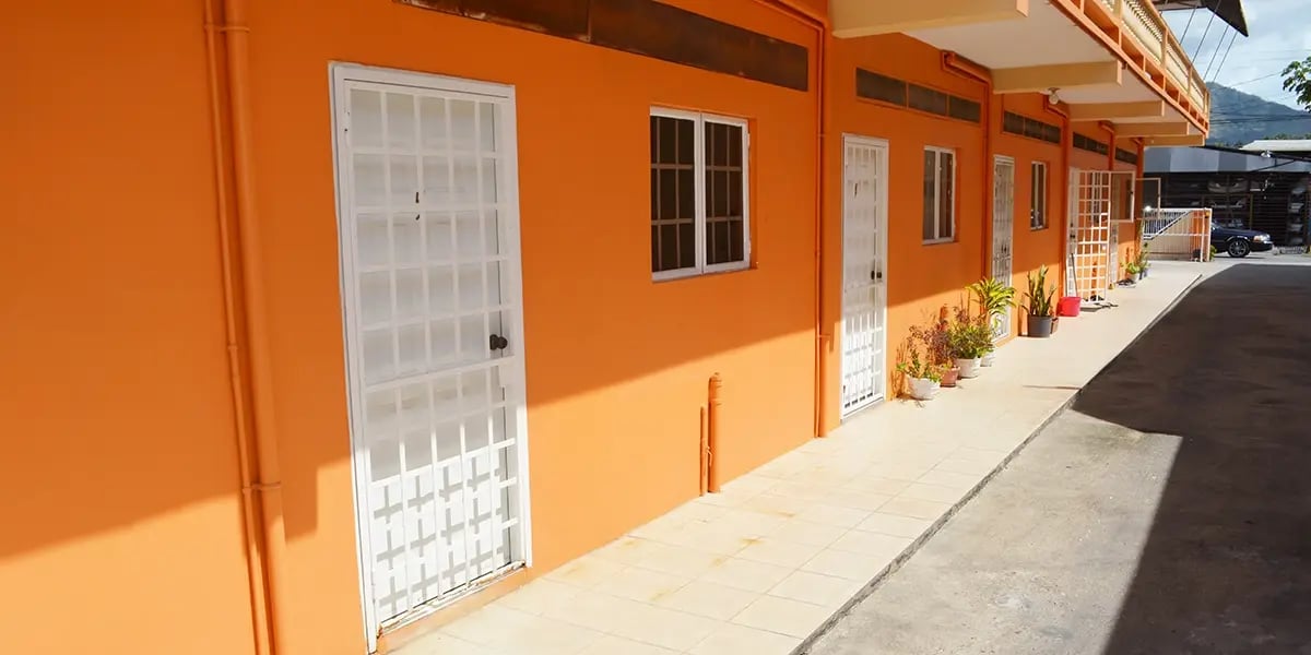 Siwala_Street_Bamboo_2