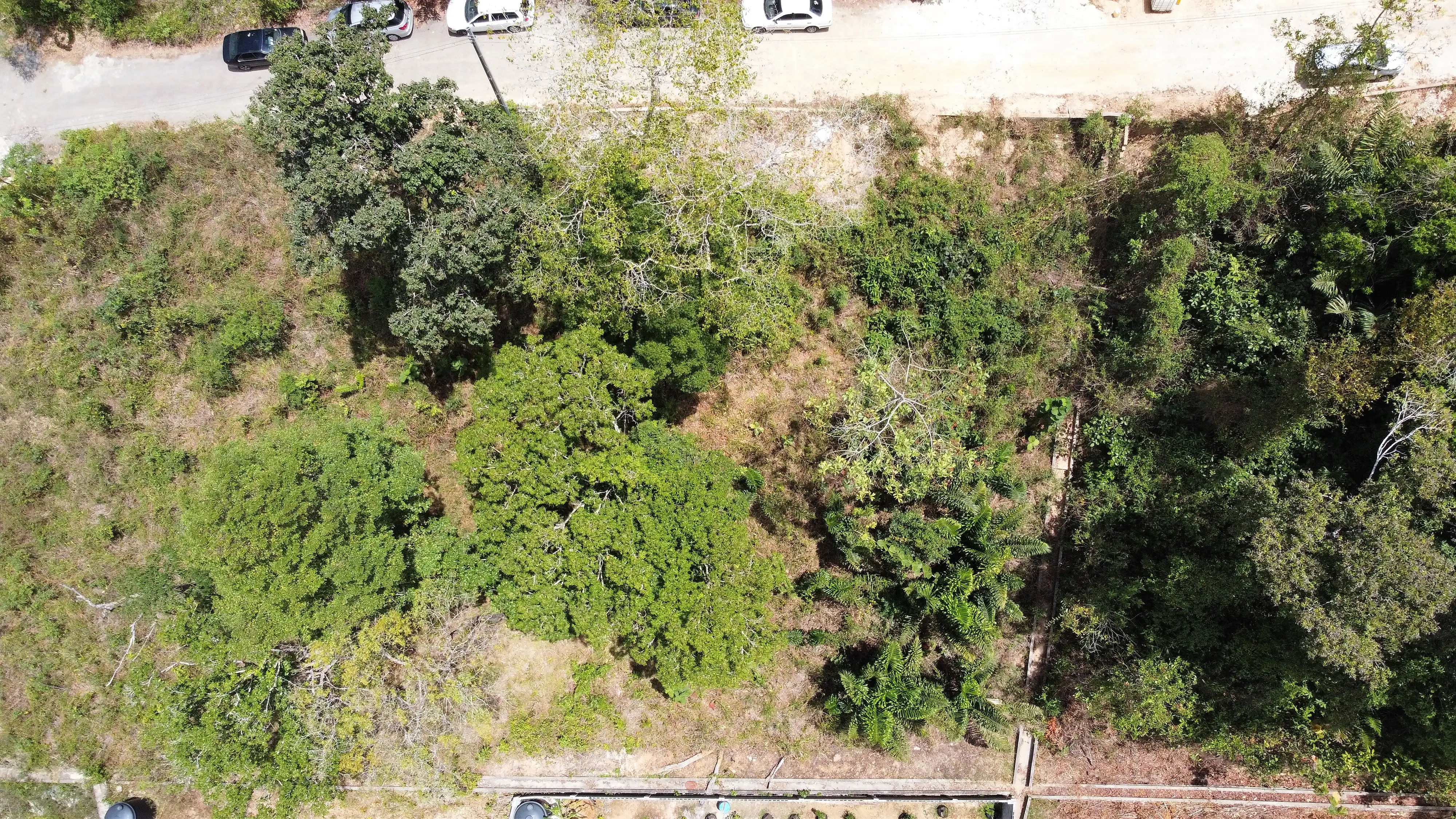 DJI_0466