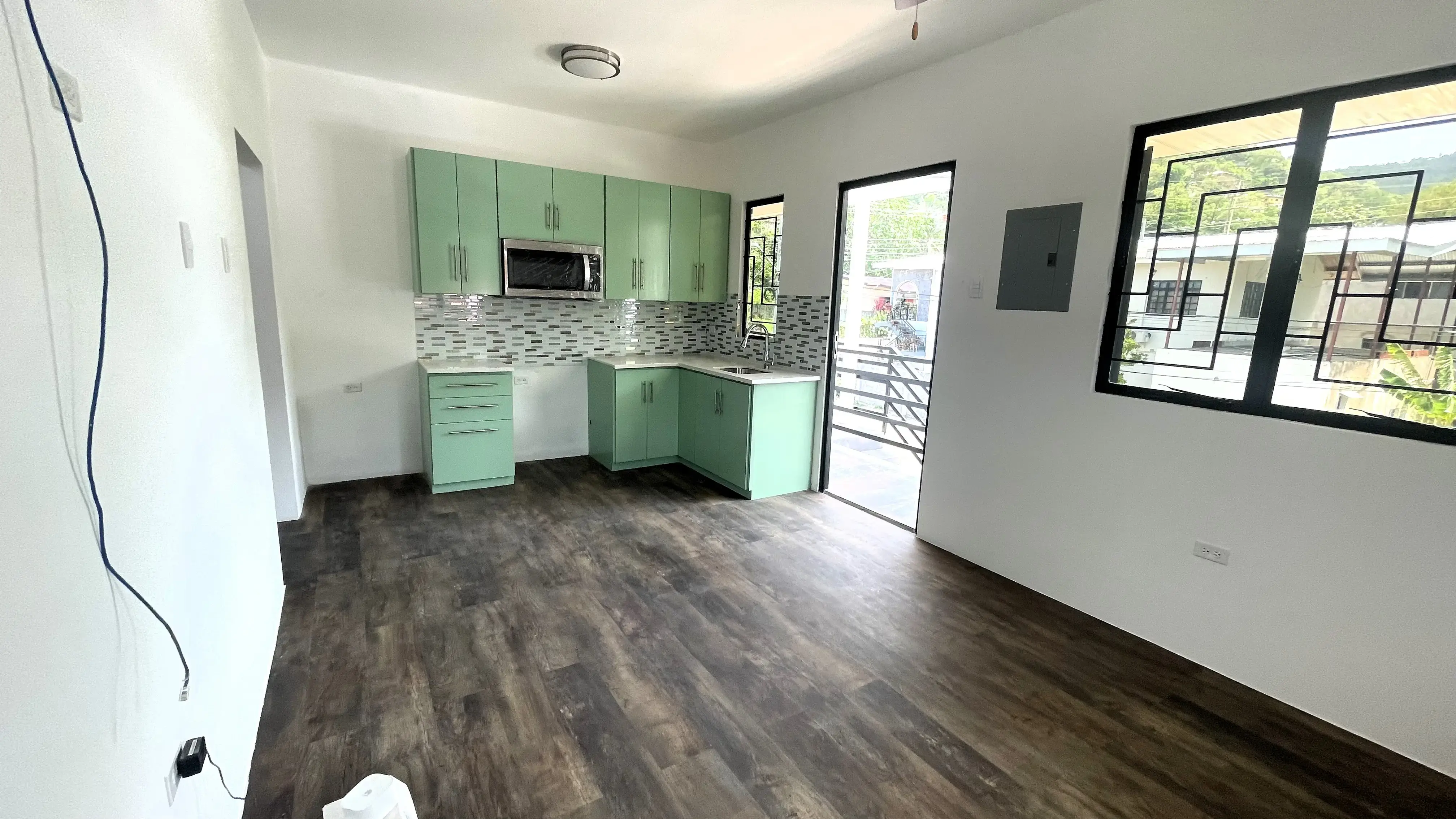 living-and-kitchen-carenage-apartment