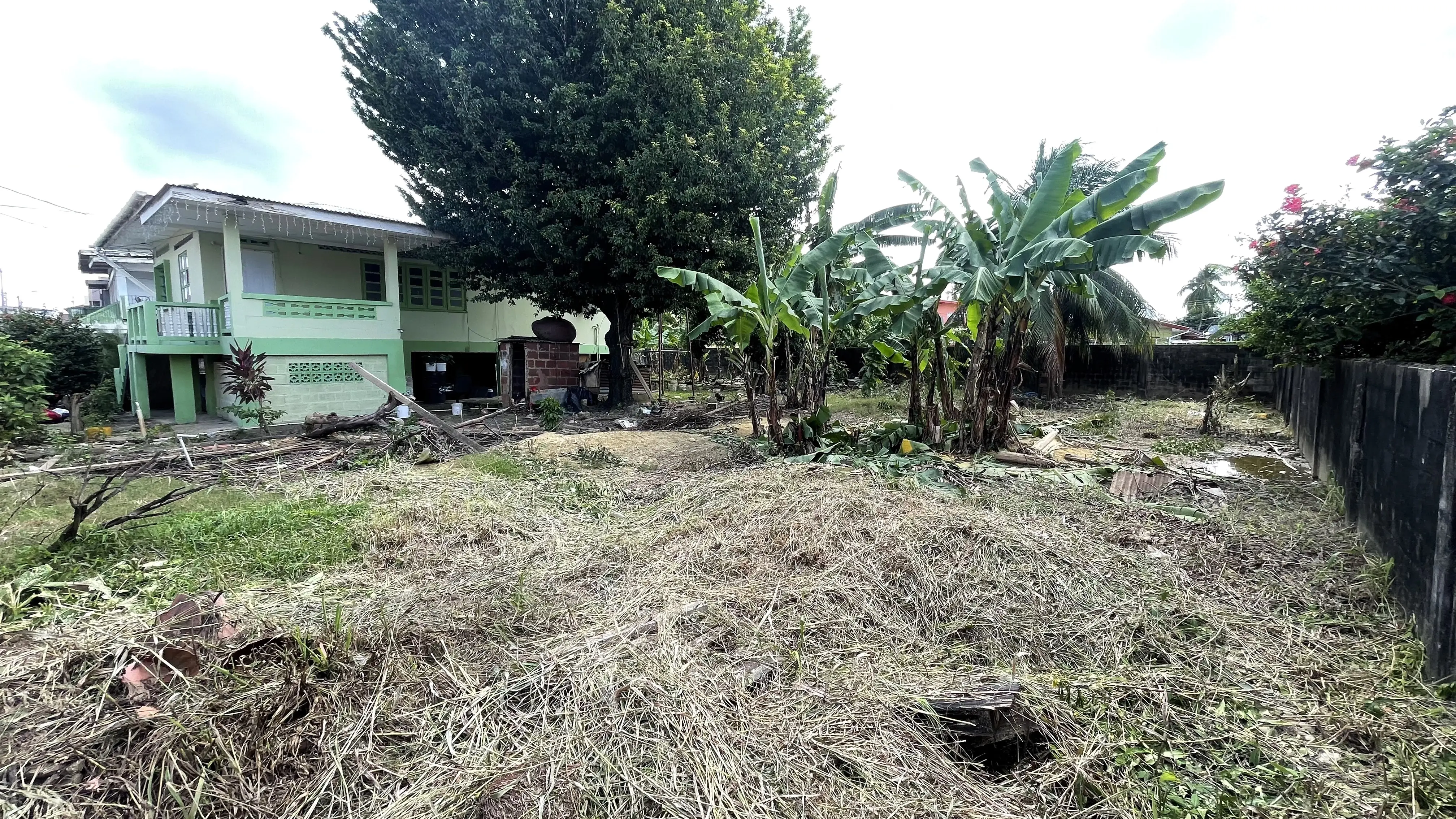 Goose Lane El Socorro - 10