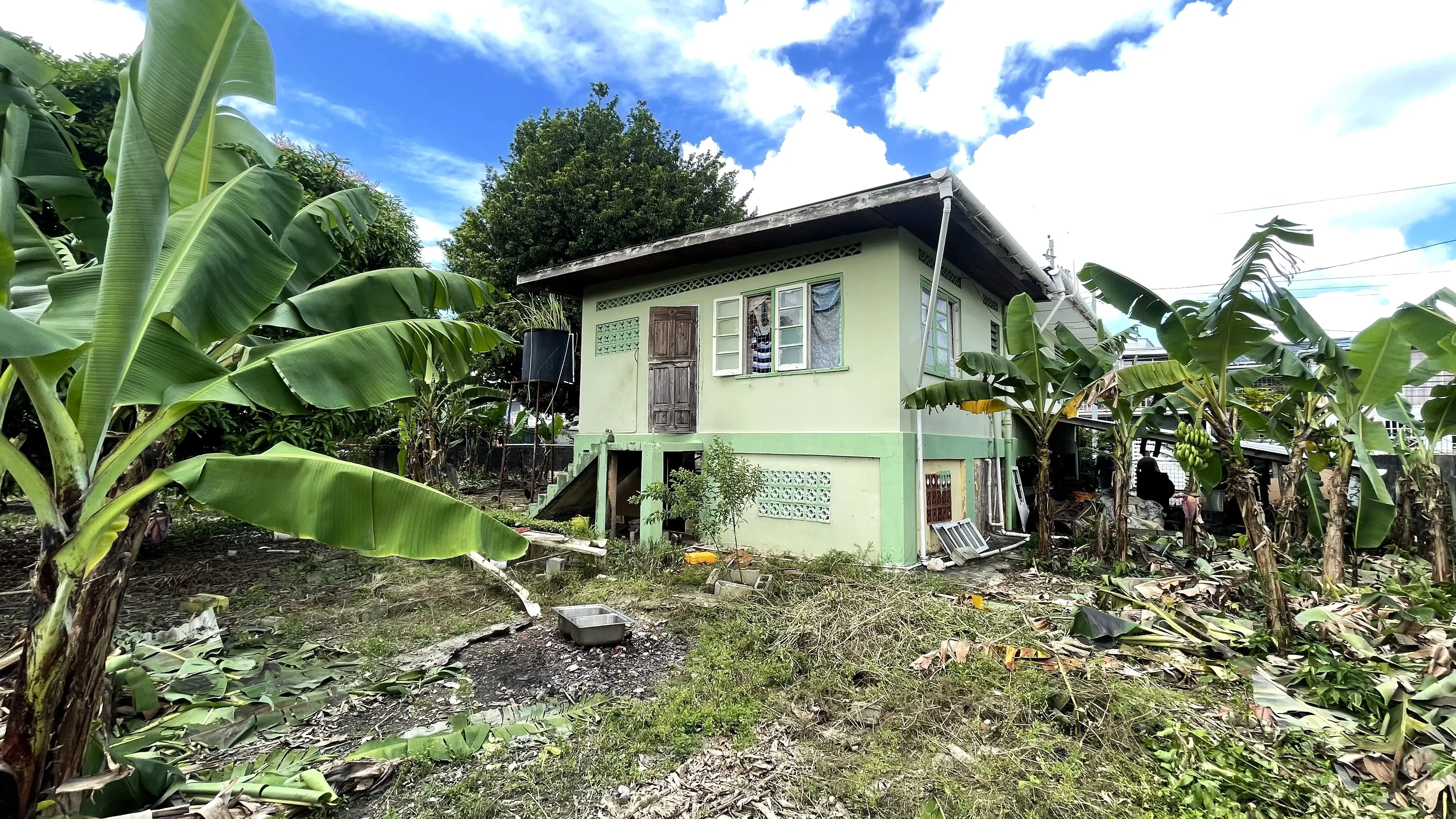 Goose Lane El Socorro - 12