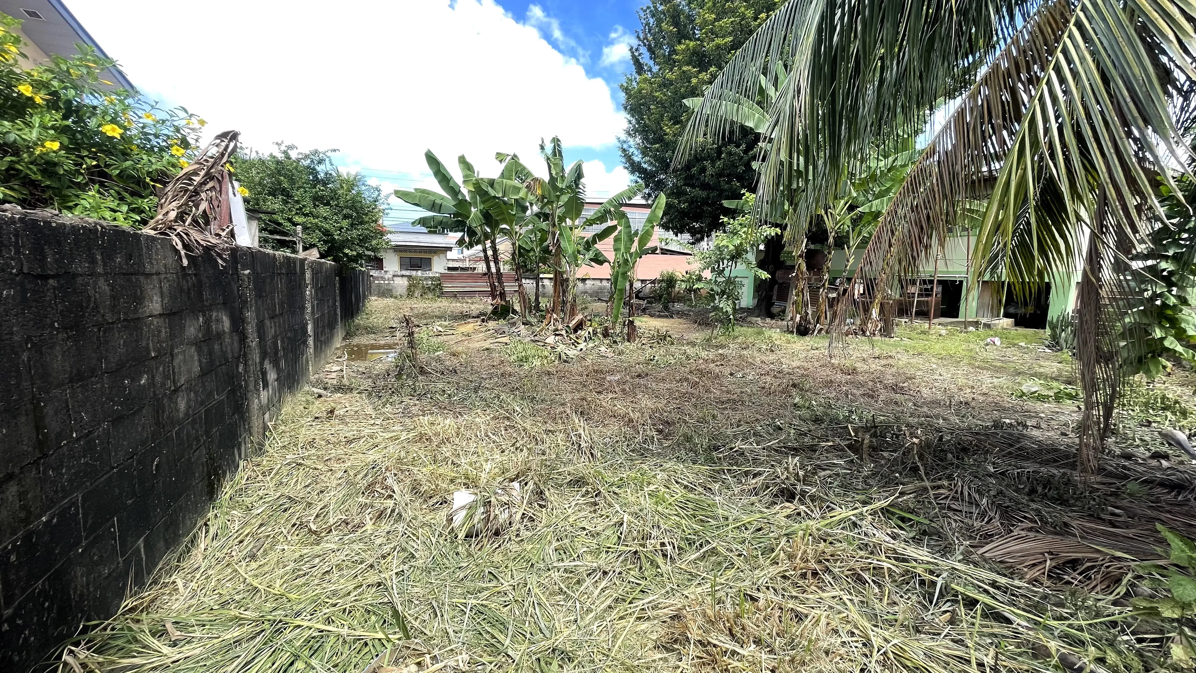 Goose Lane El Socorro - 7