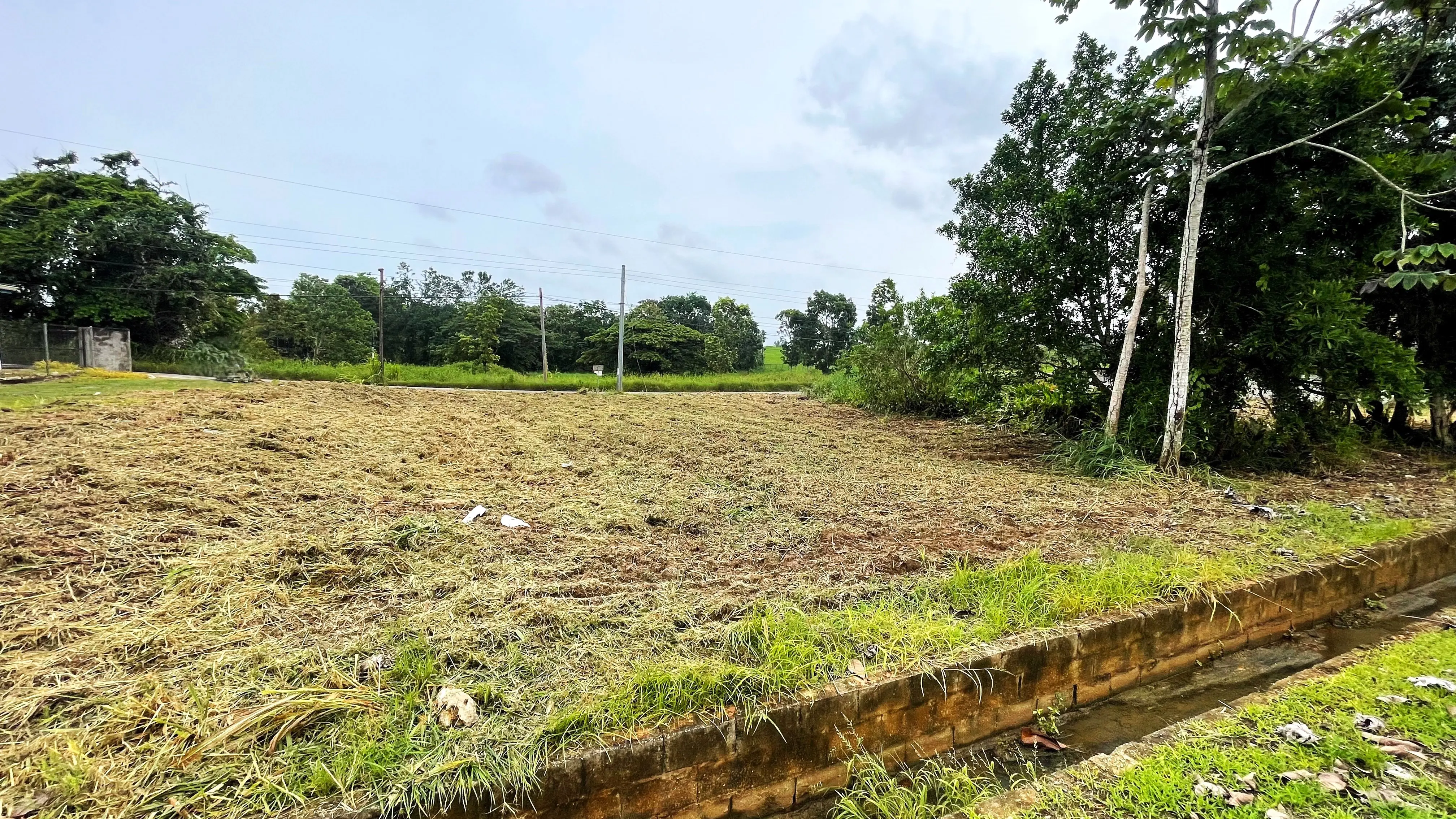 Rear view of the residential lot on Boy Cato Road, Cunupia
