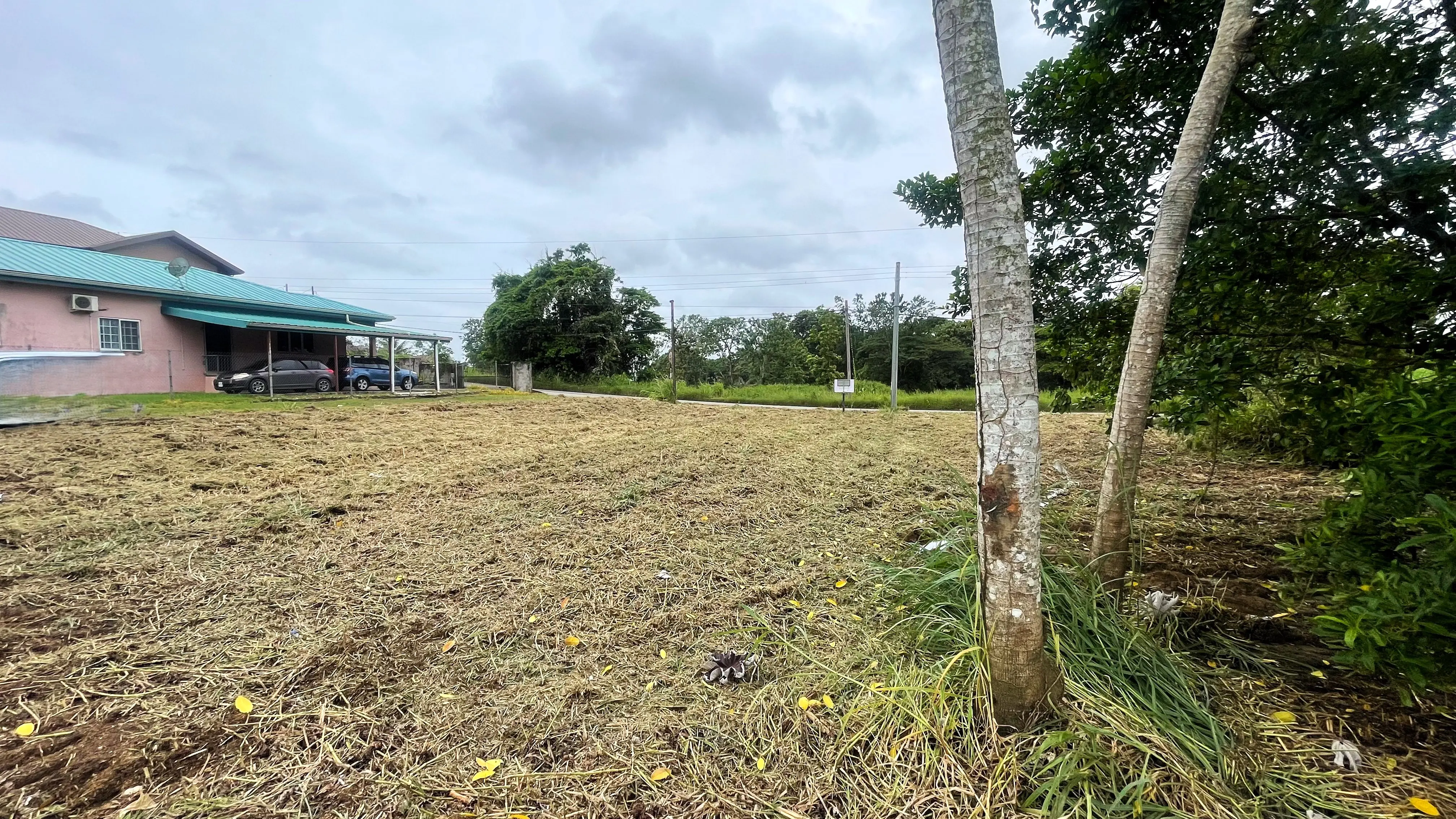 Rear corner view of residential land on Boy Cato Road, Madras Settlement, Cunupia