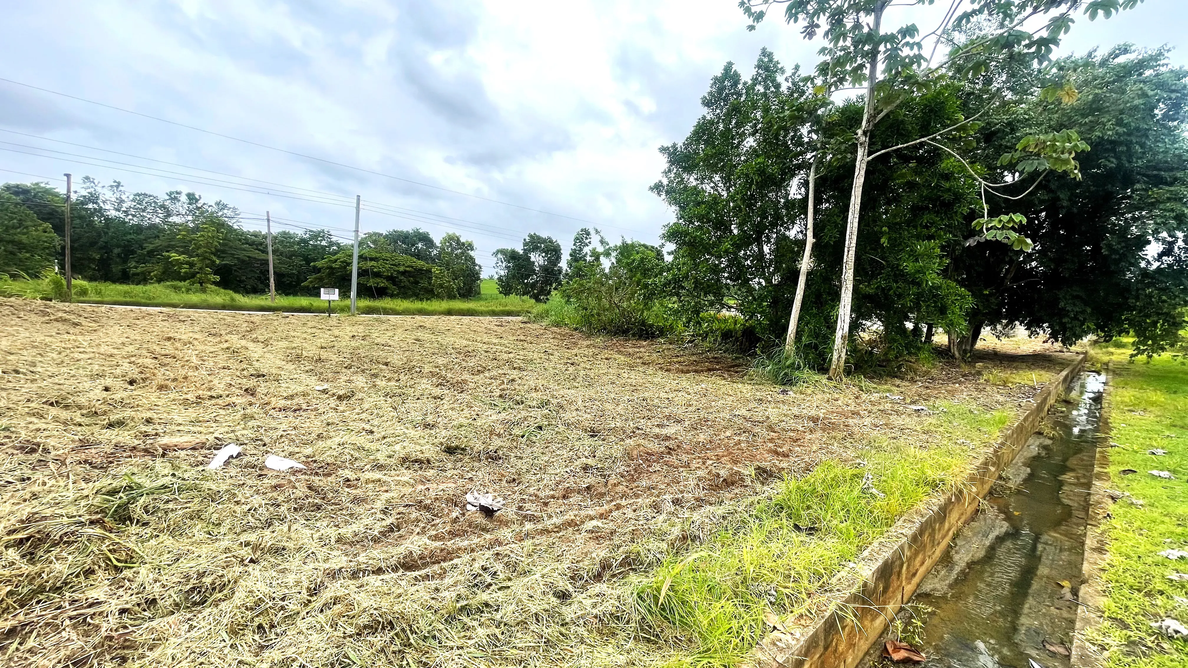 Rear drainage along the boundary of the residential land in Madras Settlement, Cunupia.