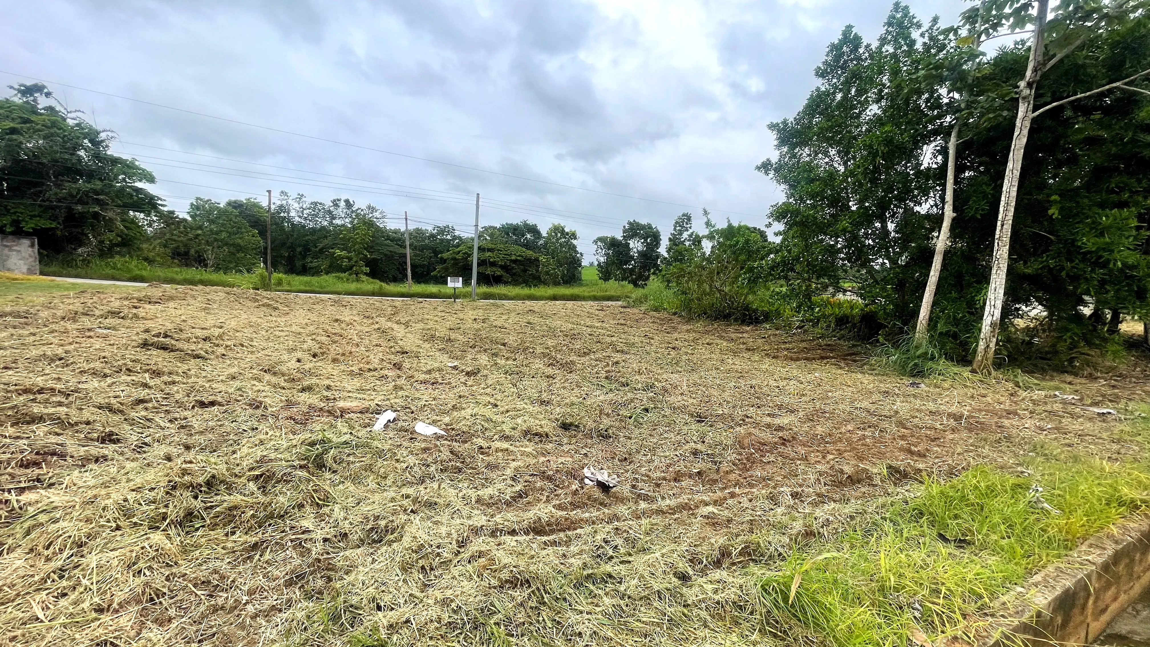 Rear view of the 5,905 sq. ft. residential land on Boy Cato Road, Madras Settlement, Cunupia.