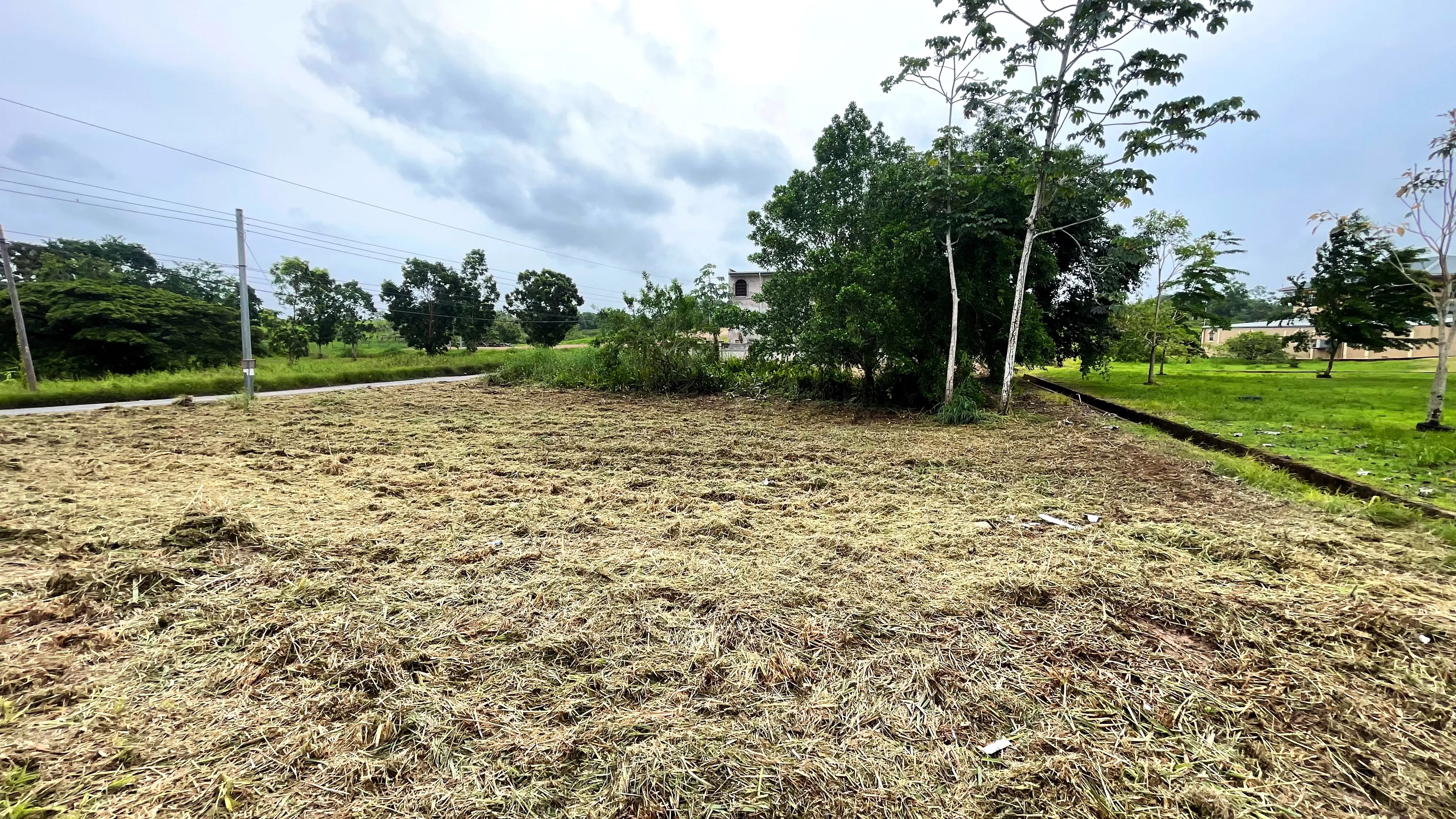 Side view of flat and cleared residential land in Madras Settlement, Cunupia