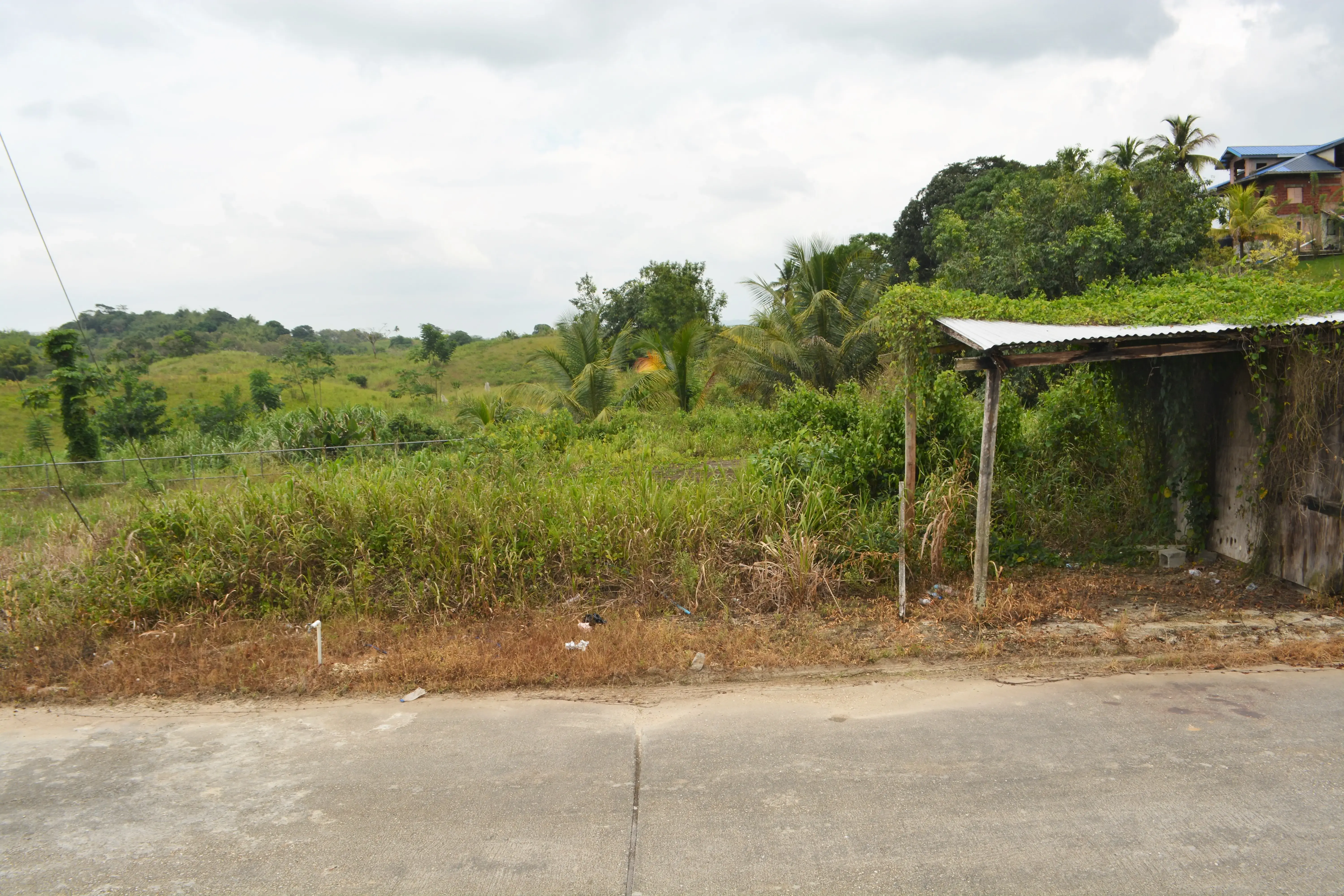 front of the land road capture