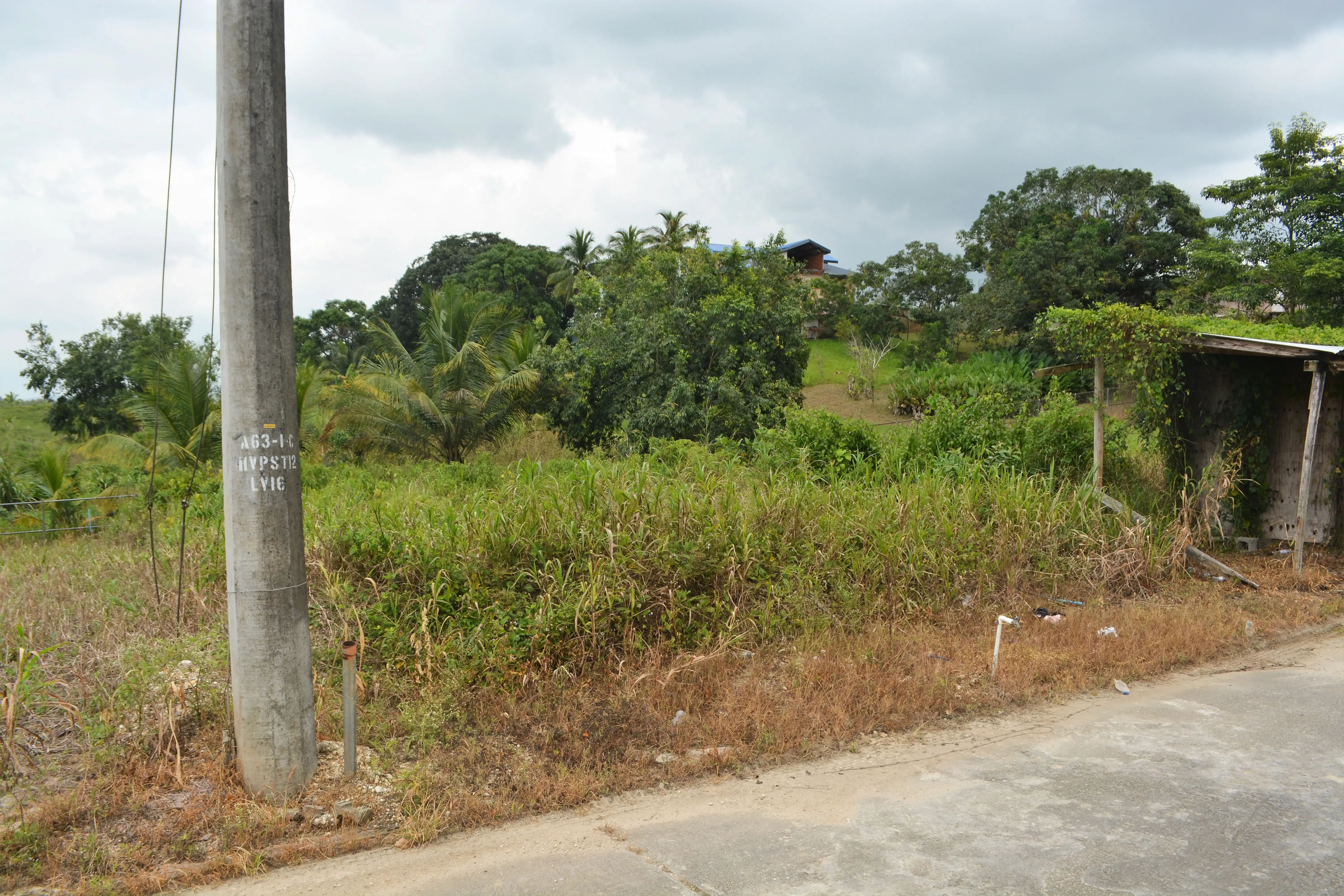 right front of the land
