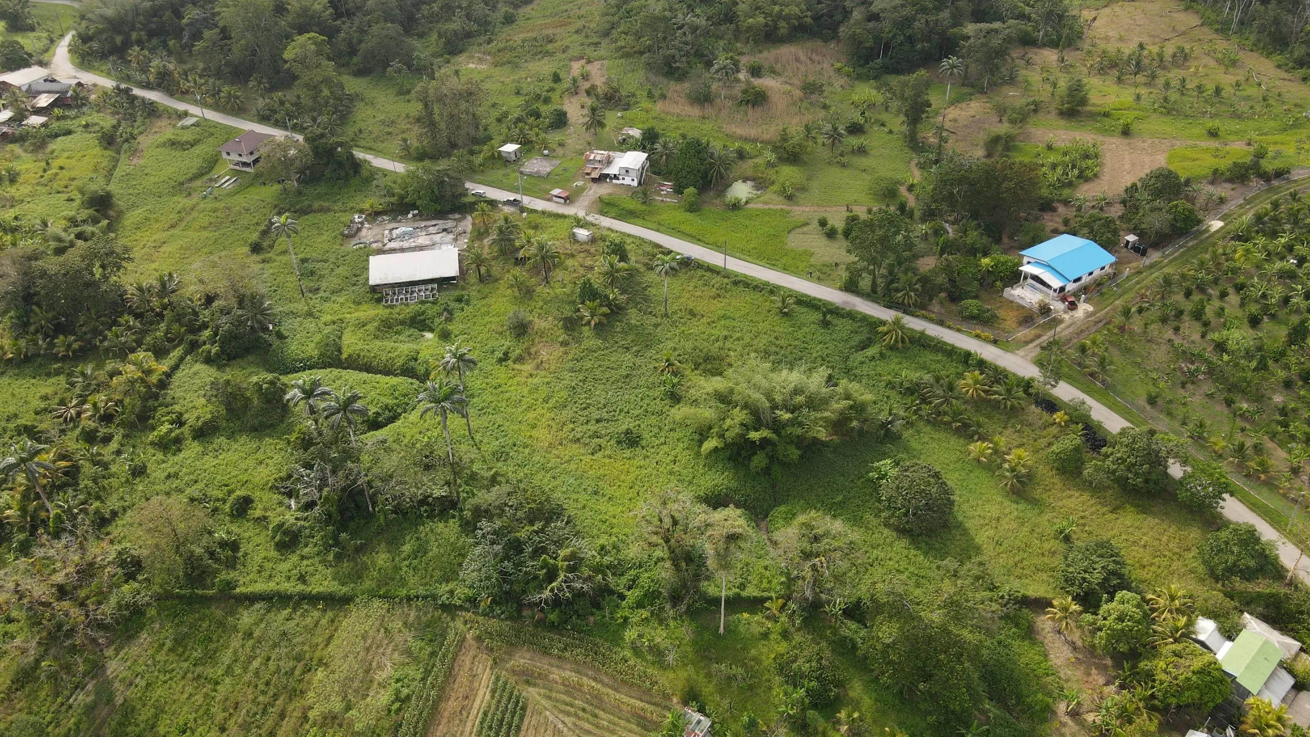 Talparo Land for Rent aerial right side view