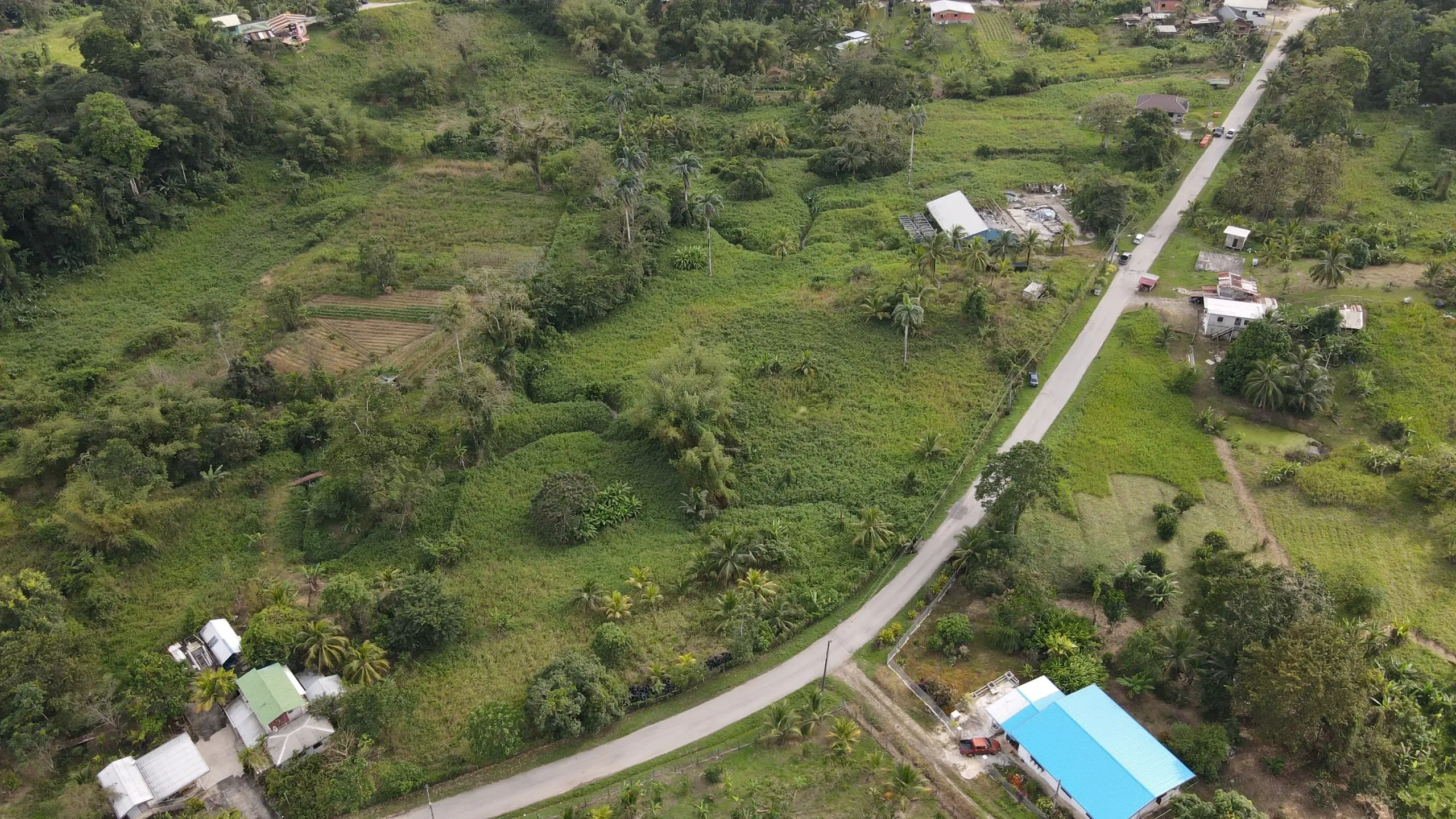 Talparo Land for Rent aerial view