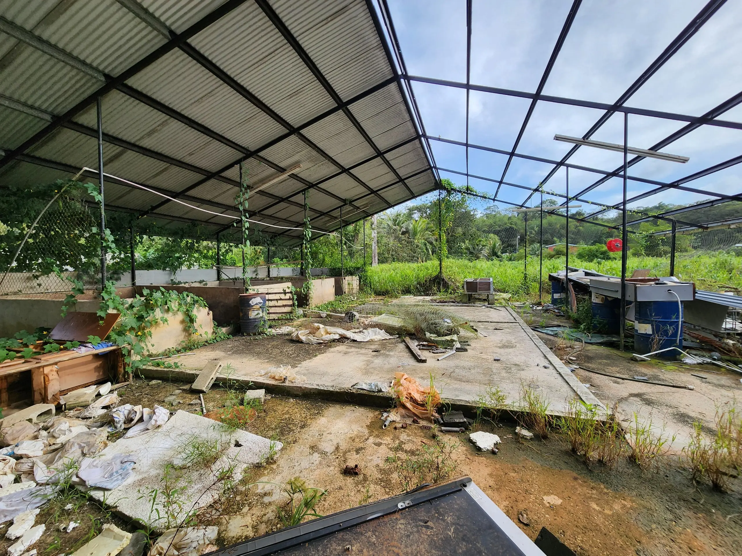 Talparo Land for Rent covered shed area